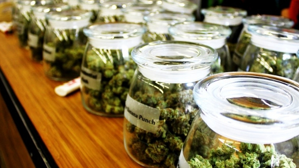 Les conséquences de la légalisation du cannabis dans le Colorado