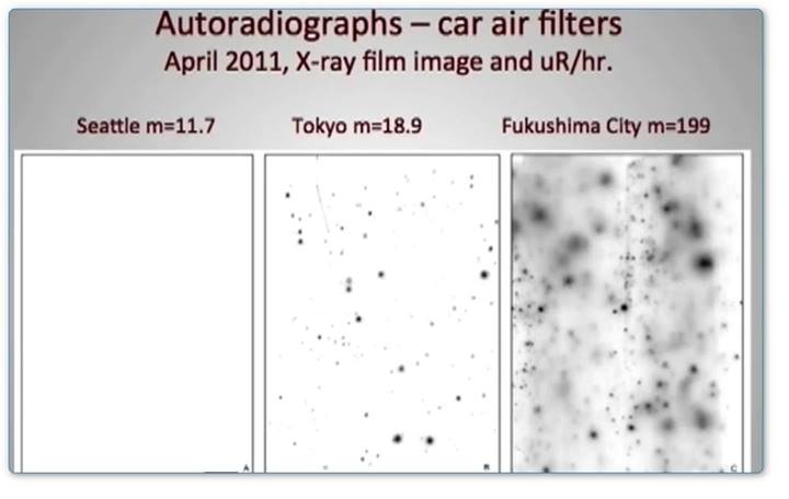 image-3-Comparaison-Radioactivite