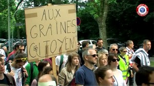 manif-monsanto-600