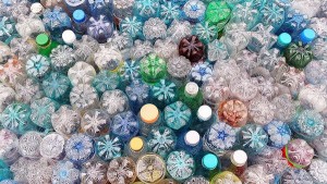 bactérie miam plastique
